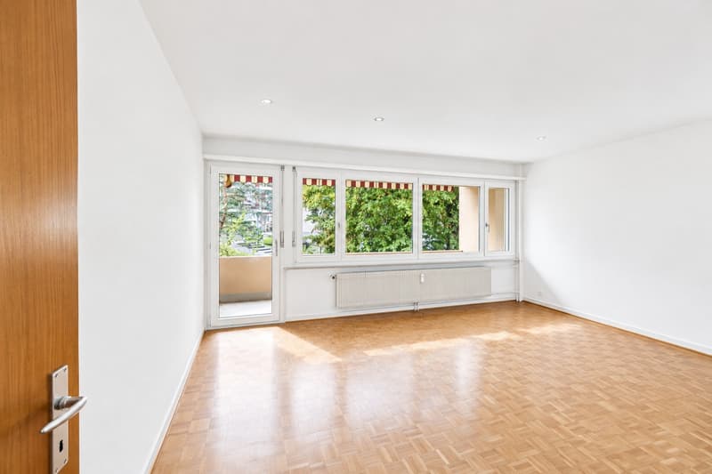 Frisch renovierte moderne Wohnung zu vermieten (5)
