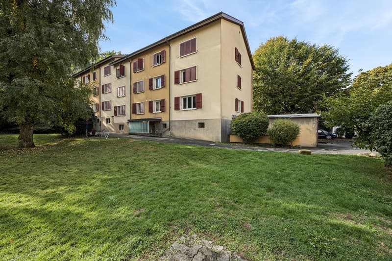 Frisch renovierte moderne Wohnung zu vermieten (1)