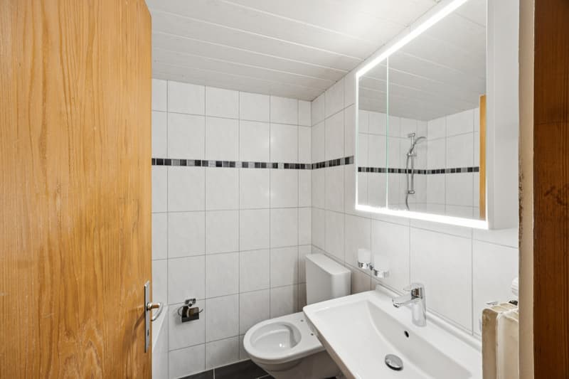 Frisch renovierte moderne Wohnung zu vermieten (6)