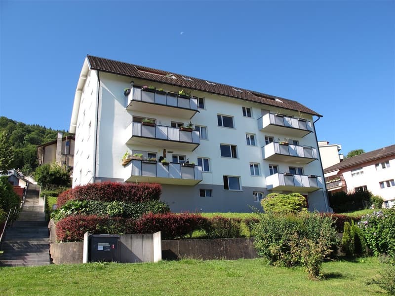 Traumhafte Dachwohnung mit atemberaubender Aussicht über Zürich! (9)