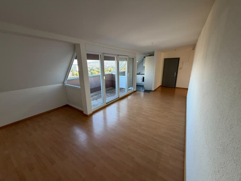 Traumhafte Dachwohnung mit atemberaubender Aussicht über Zürich! (3)