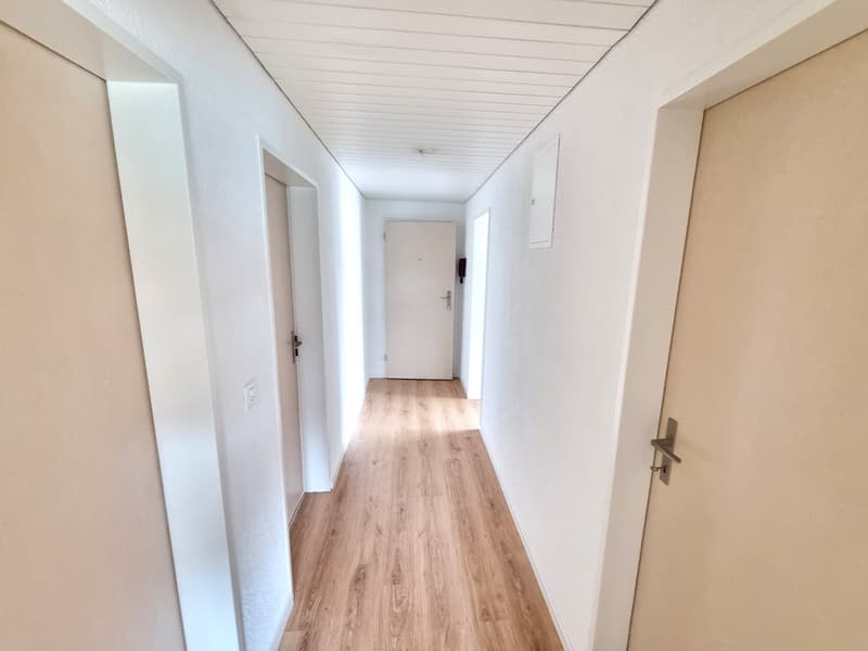 Helle und teilsanierte Wohnung an zentraler Lage (7)