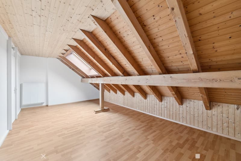 Tolle Maisonette-Wohnung mit Cheminée - ideale Lage ! (6)