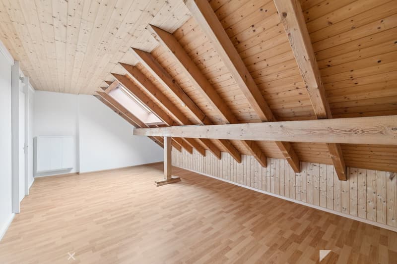 Tolle Maisonette-Wohnung mit Cheminée - ideale Lage ! (6)