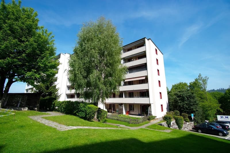 Renovierte und moderne Wohnung in Ostermundigen (1)