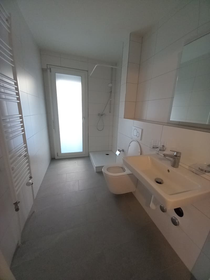 Top neu sanierte Liegenschaft (4)