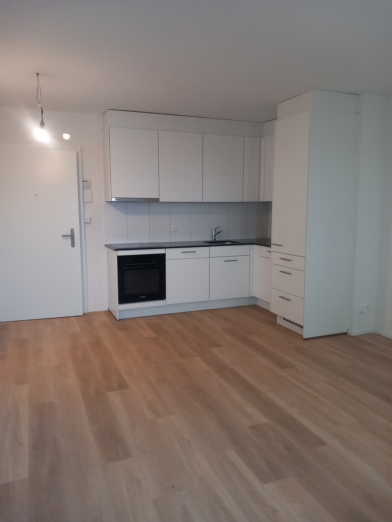Top neu sanierte Liegenschaft (3)