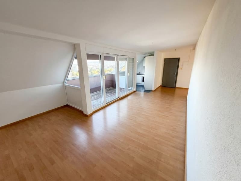 Wohnen am Waldrand des Uetlibergs traumhafte Dachwohnung mit Panoramablick über Zürich (2)