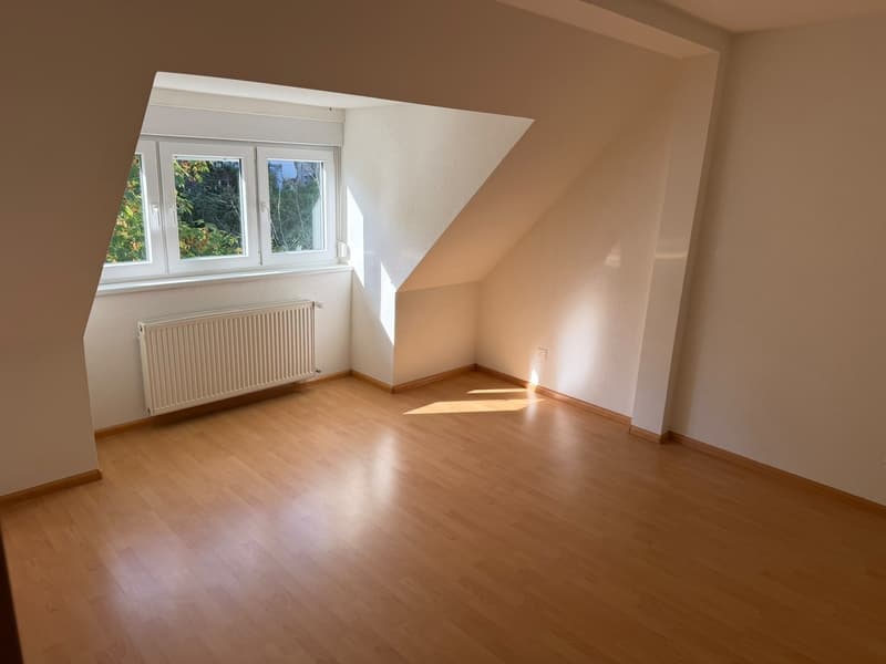 Wohnen am Waldrand des Uetlibergs traumhafte Dachwohnung mit Panoramablick über Zürich (4)