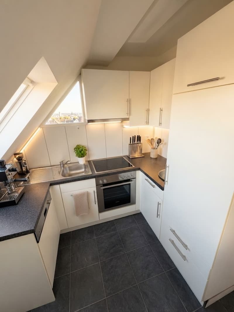 Wohnen am Waldrand des Uetlibergs traumhafte Dachwohnung mit Panoramablick über Zürich (6)