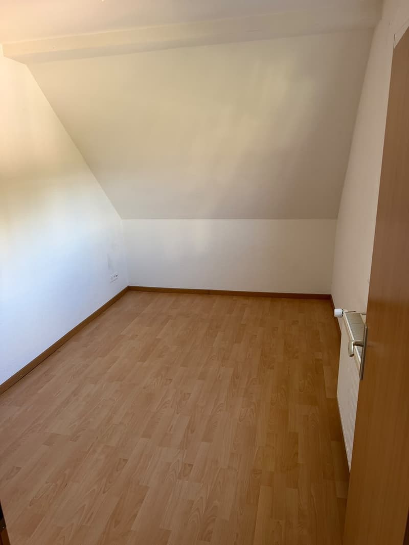 Wohnen am Waldrand des Uetlibergs traumhafte Dachwohnung mit Panoramablick über Zürich (5)