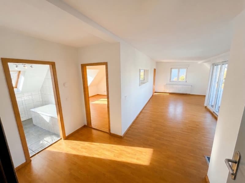 Wohnen am Waldrand des Uetlibergs traumhafte Dachwohnung mit Panoramablick über Zürich (3)