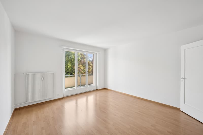 grosse und moderne 2 Zimmerwohnung (4)