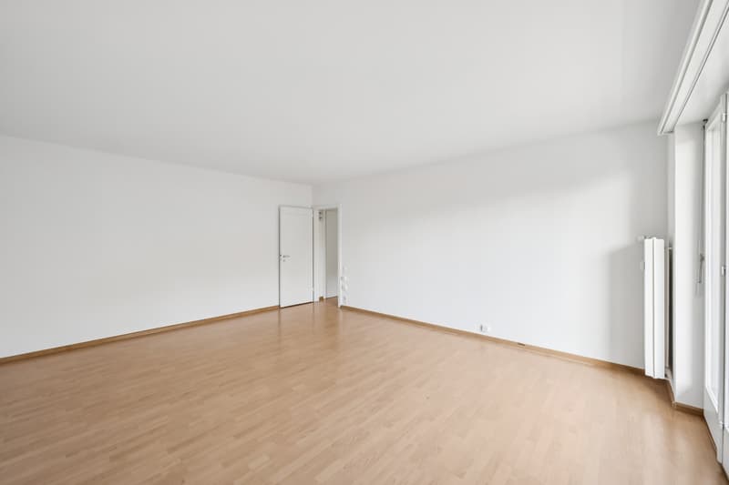 grosse und moderne 2 Zimmerwohnung (6)