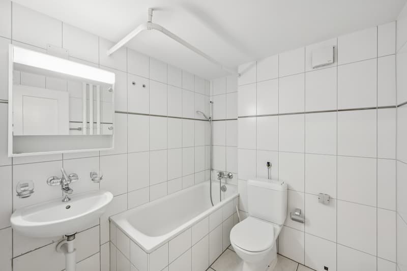 grosse und moderne 2 Zimmerwohnung (3)