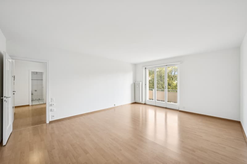 grosse und moderne 2 Zimmerwohnung (5)