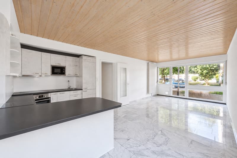 Première location après rénovation de la cuisine (1)