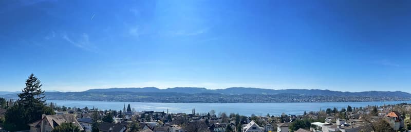 TOP PENTHOUSE • ERLENBACH (6)