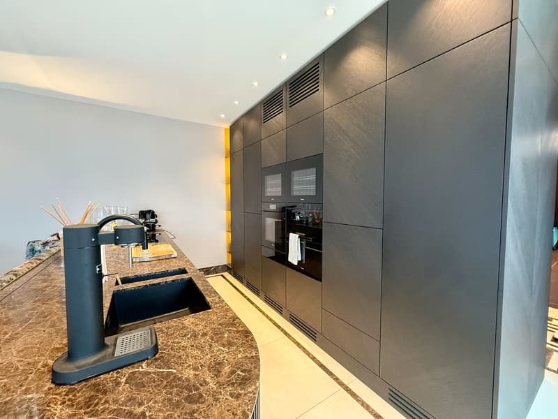 TOP PENTHOUSE • ERLENBACH (3)
