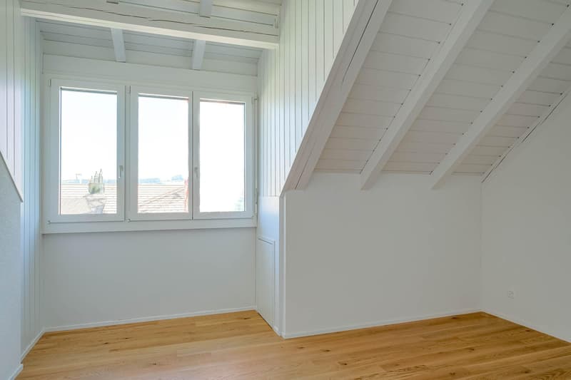 Spacious attic apartment (7)