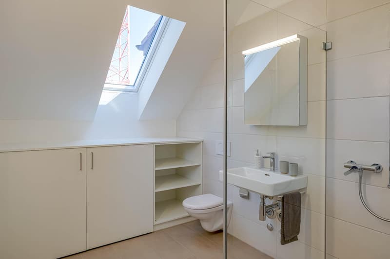 Spacious attic apartment (5)