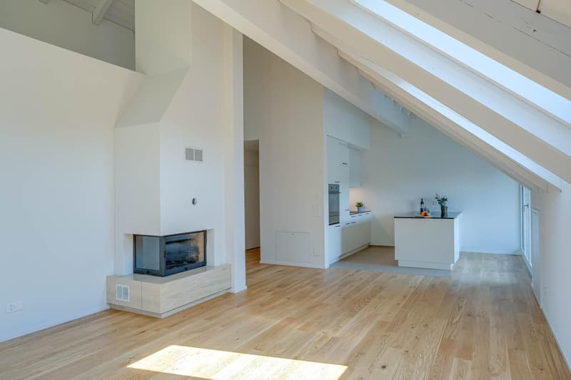 Spacious attic apartment (2)
