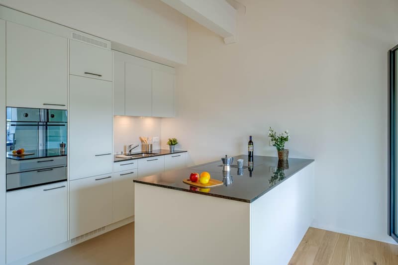 Spacious attic apartment (3)