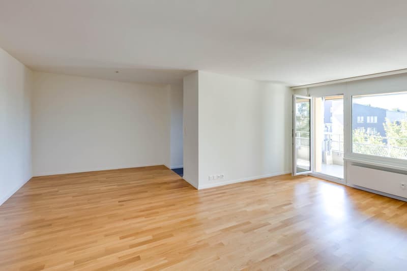 Modern 4.5-room apartment with balcony and evening sun (3)