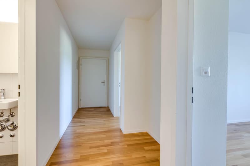 Modern 4.5-room apartment with balcony and evening sun (4)