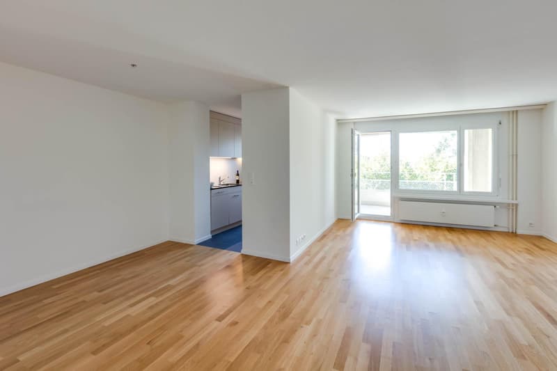 Modern 4.5-room apartment with balcony and evening sun (2)