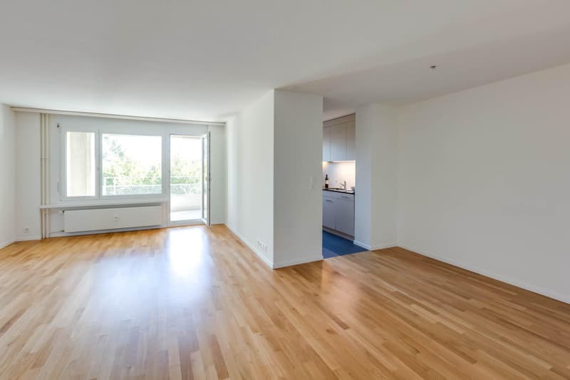 Grosszügige 4½-Zimmerwohnung mit Balkon und modernem Ausbaustandard (9)