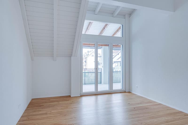 Appartement mansardé spécial avec cheminée et finitions de haute qualité (7)