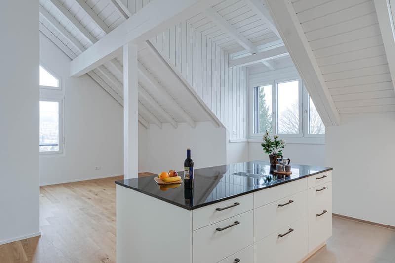 Appartement mansardé spécial avec cheminée et finitions de haute qualité (3)