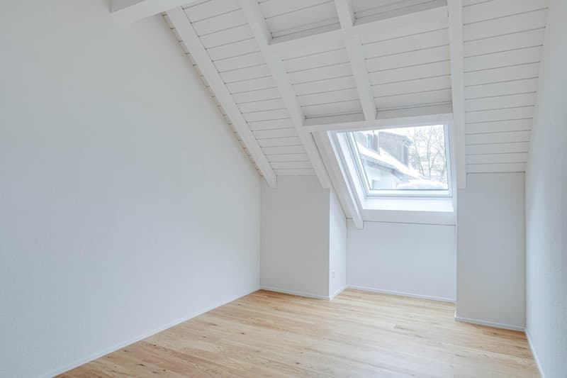 Appartement mansardé spécial avec cheminée et finitions de haute qualité (8)