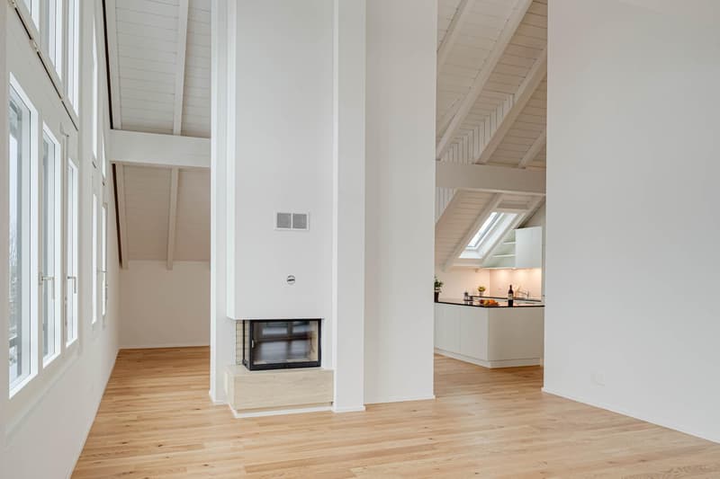 Appartement mansardé spécial avec cheminée et finitions de haute qualité (5)