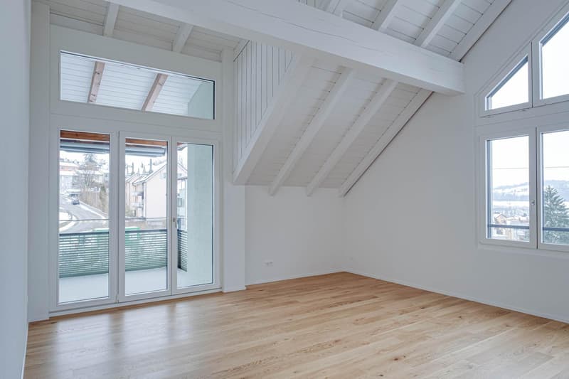 Appartement mansardé spécial avec cheminée et finitions de haute qualité (4)
