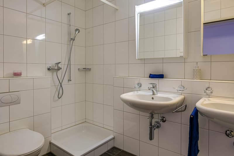 Appartement attractif de 3,5 pièces dans un endroit calme à Vonwilpark (7)