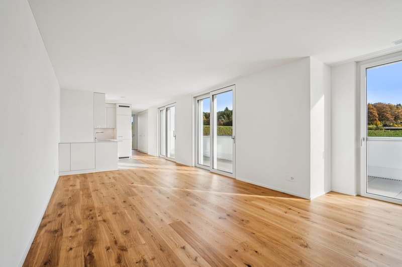 Attika mit Aussicht hell und modern in Gossau SG Erstbezug (2)