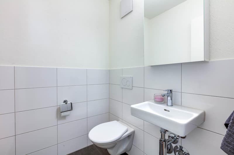Moderne 4½-Zimmerwohnung mit Balkon und Abendsonne (5)