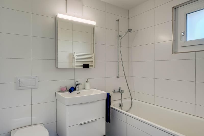 Grosszügige Dachwohnung - Toplage im Riethüsli (9)