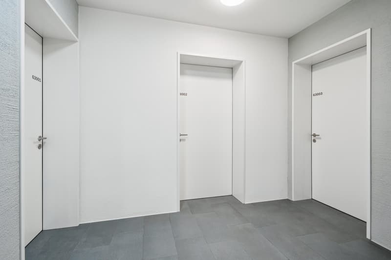 Vielseitiger Neubau-Disponibelraum in Gossau SG - mit Tageslicht (4)