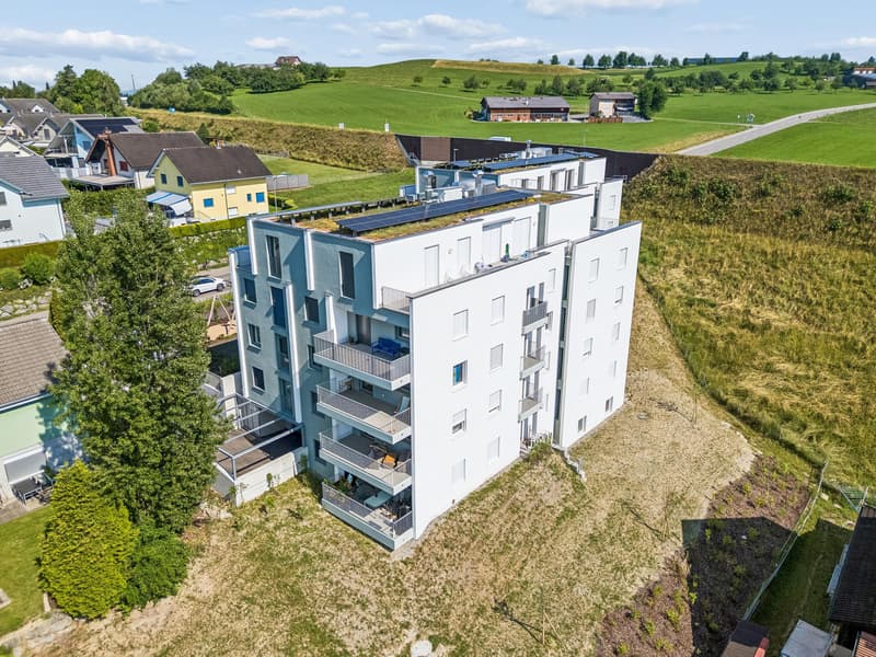 Vielseitiger Neubau-Disponibelraum in Gossau SG - mit Tageslicht (5)