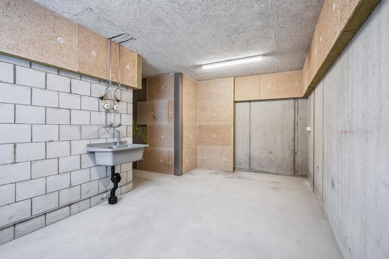 Vielseitiger Neubau-Disponibelraum in Gossau SG - mit Tageslicht (2)