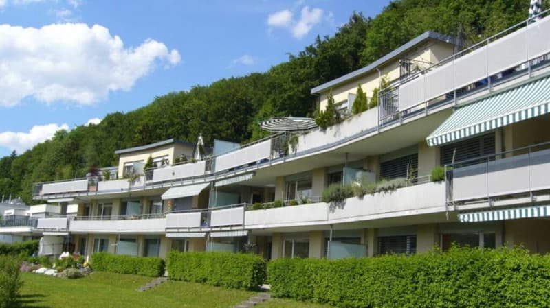 5.5-Zimmerwohnung: Idyllisches Quartier im Grünen (1)