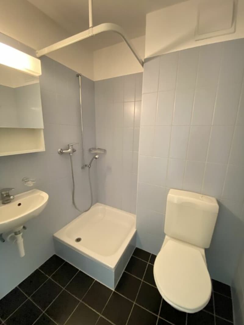 5.5-Zimmerwohnung: Idyllisches Quartier im Grünen (9)