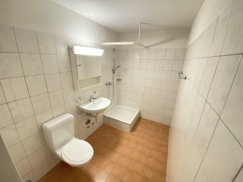 Sunny and quiet apartment with private laundry tower (10)