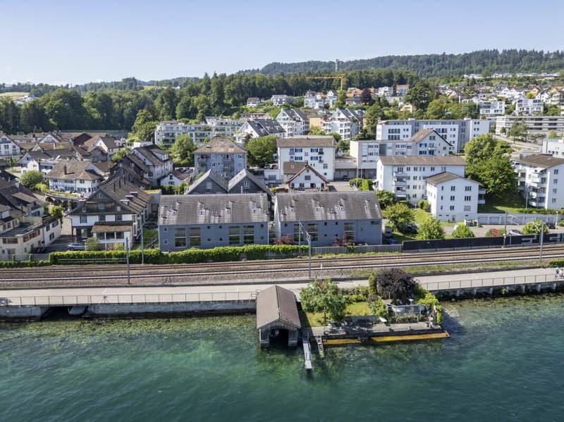 Row house in a prime location in Horgen (14)