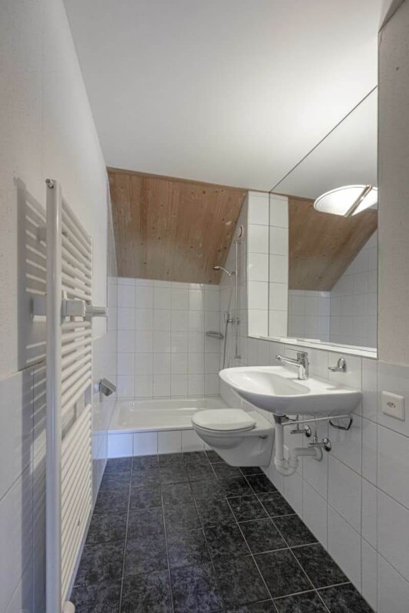 Row house in a prime location in Horgen (10)