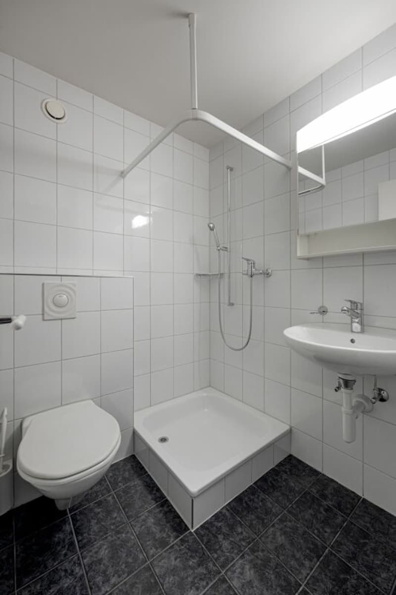 Row house in a prime location in Horgen (12)