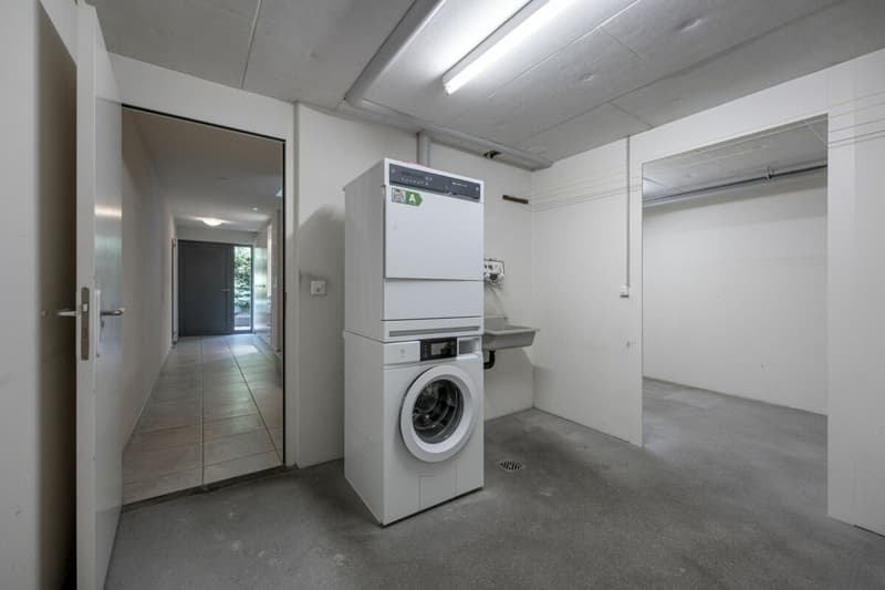 Row house in a prime location in Horgen (13)